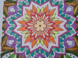 whatsapp image 2026-01-23 at 11.45.24